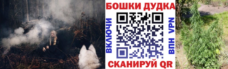 наркошоп  Всеволожск  кракен зеркало  Каннабис планчик 